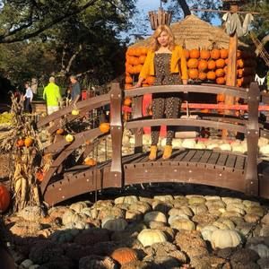 Meet your Posher, Ross